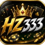 HZ333